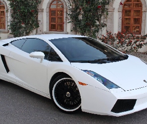 Lamborghini Gallardo, Dom, Białe