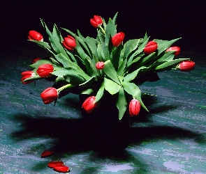 Tulipany