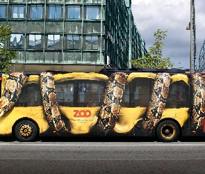 Autobus, Wąż, Drzewa, Ulica