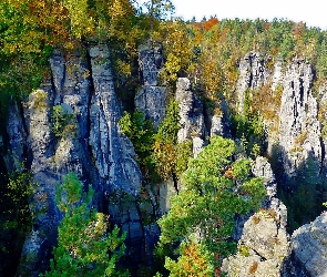 Szwajcaria, Saksońska, Skały, Narodowy, Las, Park