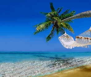 Palma, Hamak, Morze
