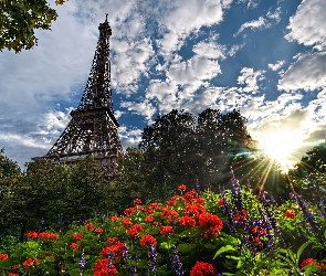 Wieża Eiffla, Paryż, Kwiaty