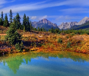 Las, Jeziorko, Góry