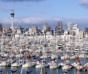 Nowa Zelandia, Jachty, Miasto, Auckland