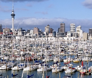 Jachty, Miasto, Nowa Zelandia, Auckland