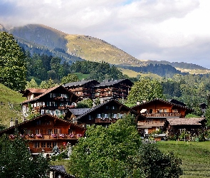 Lasy, Grindelwald, Wioska, Łąki, Alpy