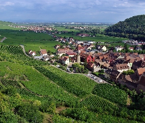 Panorama, Kayserberg, Las, Pola, Łąki, Wzgórza