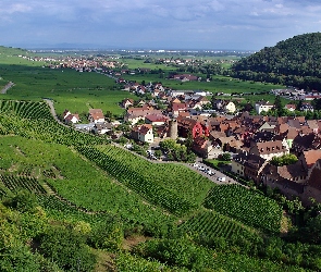 Las, Łąki, Kayserberg, Panorama, Wzgórza, Pola