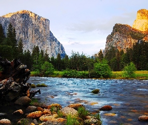 Stan Kalifornia, Las, Stany Zjednoczone, Góry, Kamienie, Park Narodowy Yosemite, Szczyt El Capitan, Rzeka