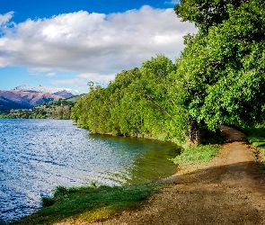 Park, Góry, Droga, Drzewa, Jezioro