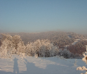 Las. Śnieg, Cień