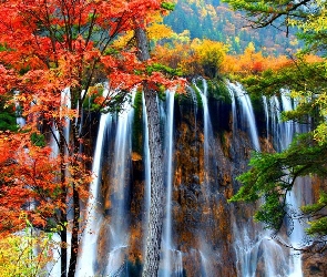 Jesień, Drzewa, Wodospad