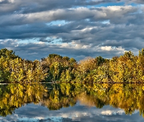 Las, Odbicie, Jezioro