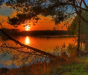 Drzewa, Jezioro, Zachód, Słońca
