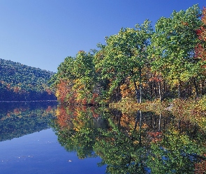 Jezioro, Odbicie, Drzewa, Lustrzane