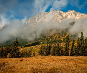 Łąka, Las, Góry, Chmury