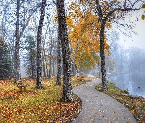 Rzeka, Park, Jesień, Mgła, Ławki, Liście, Kaczki