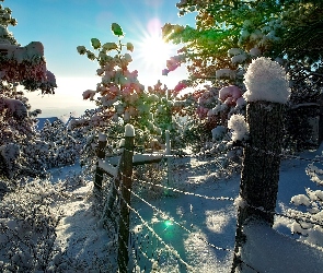 Zima, Promienie Słońca, Ogrodzenie