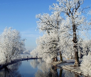 Zima, Drzewa, Oszronione, Rzeka