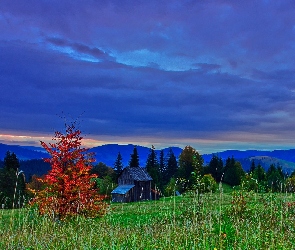 Lasy, Chmury, Szopa, Łąki, Góry