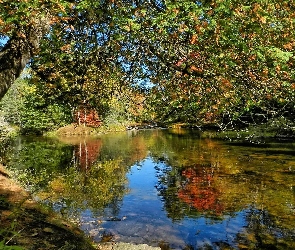 Rzeka, Drzwa, Jesień