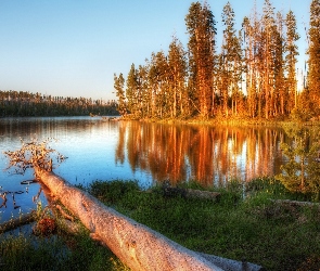 Jesień, Drzewa, Jezioro