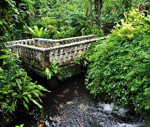 Kuala Lampur, Mostek, Zieleń, Malezja, Park Butterfly