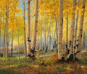 Las, Brzozowy