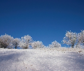 Pokrywa, Śnieżna, Zima