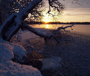 Słońca, Śnieg, Drzewo, Jezioro, Zachód