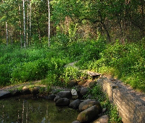 Kamienie, Rzeczka, Las, Dróżka