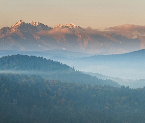 Lasy, Mgła, Góry