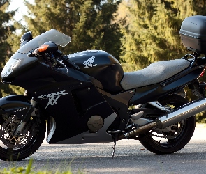 CBR, 1100xx, Honda