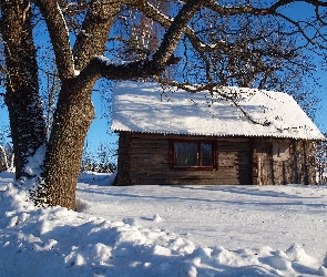 Zima, Dom, Drzewo, Stary, Śnieg