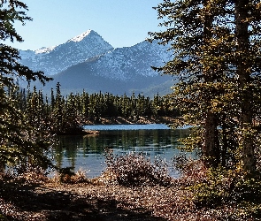 Jezioro, Las, Góry