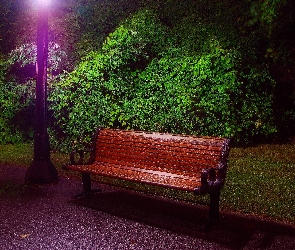 Lampa, Ławka, Park, Krzewy