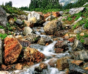 Kamienie, Strumyk