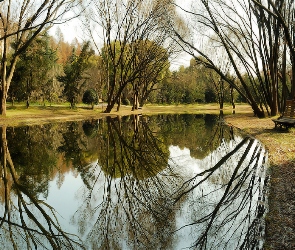 Rzeka, Odbicie, Ławka, Drzewa, Park