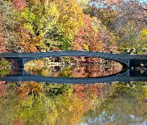 Central, Most, Rzeka, Park, Jesień