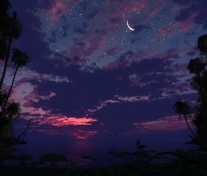 Noc, Księżyc, Niebo, Gwiazdy