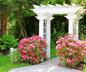 Ogród, Brama, Kwiaty