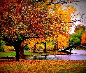 Liście, Opadłe, Park, Jesień, Staw, Mostek