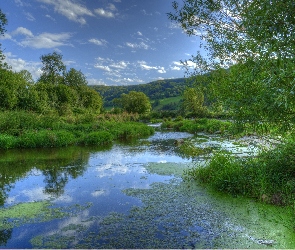 Rzeka, Drzwa, Trawy