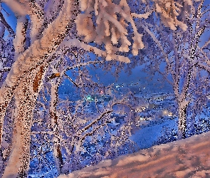 Drzewa, Miasteczko, Zima, Śnieg