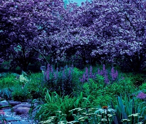 Ogród, Wiosna, Kwiaty, Drzewa, Strumyk