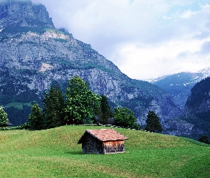 Góry, Szopa, Drzewa, Łąka