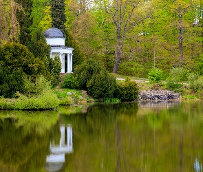 Park, Krzewy, Staw, Altana