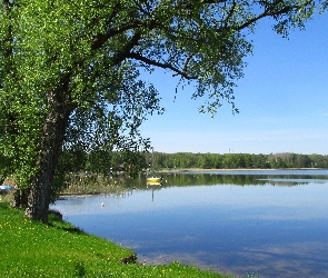 Wiosna, Drzewo, Jezioro