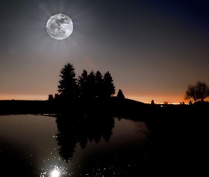 Jezioro, Odbicie, Noc, Księżyc, Drzewa