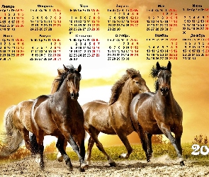 Kalendarz, Konie, 2014